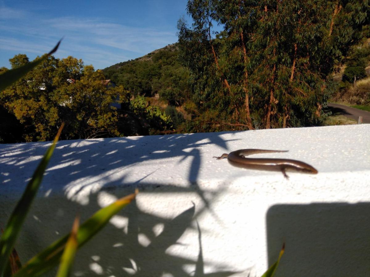 Marvão Casas Do Contrabando Bed & Breakfast エクステリア 写真