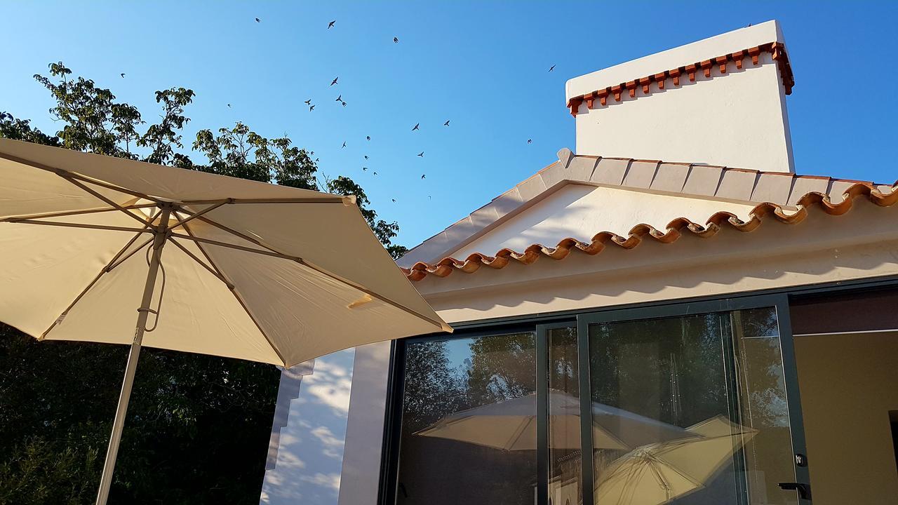Marvão Casas Do Contrabando Bed & Breakfast エクステリア 写真