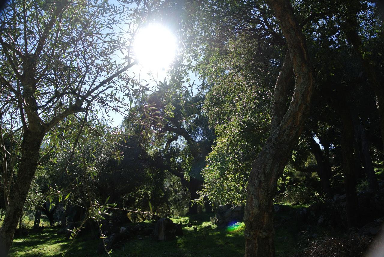 Marvão Casas Do Contrabando Bed & Breakfast エクステリア 写真